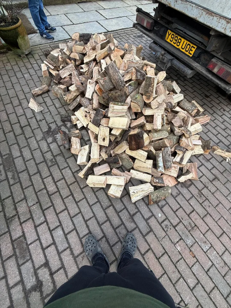 Hardwood Logs Ready for Heating
