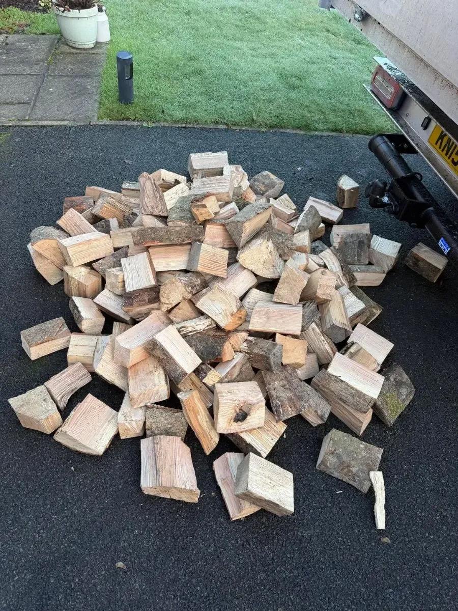 Dry Ash Logs