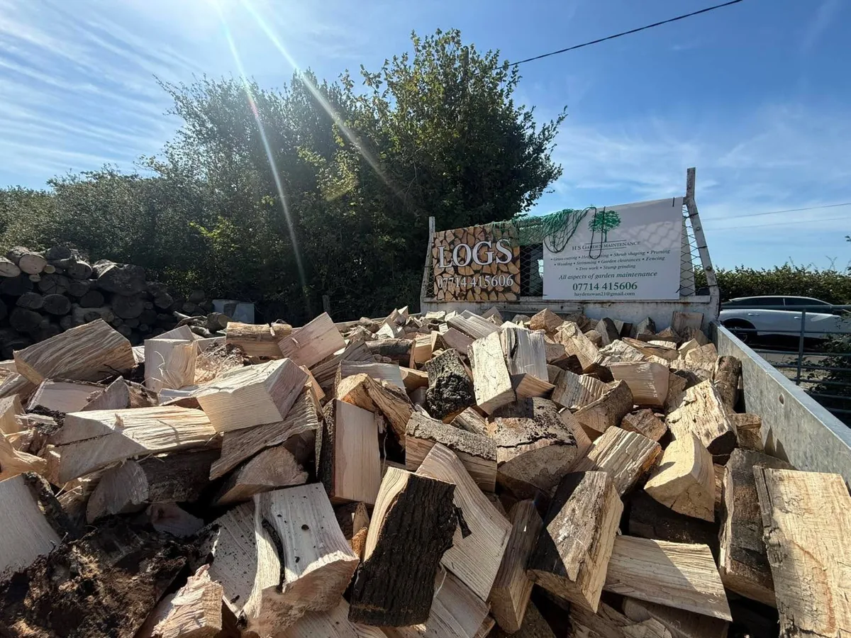 Firewood Cord Lengths Seasoning