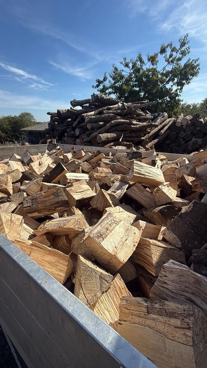 Freshly Split Seasoned Wood